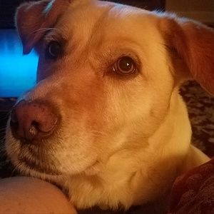 Meet your Posher, Janice